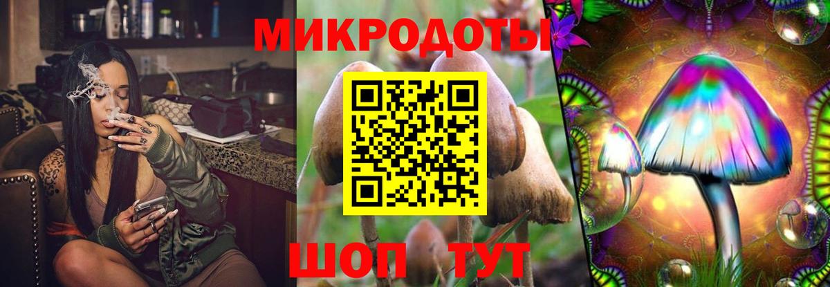 Киселёвск  Псилоцибиновые грибы ЛСД  Вход с VPN 